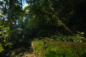 BIB: 
                            <button type="button" onclick="openModal(18921443)" class="btn btn-primary btn-sm float-right btn-popup" data-toggle="modal" data-target=".modal-high-quality">
                        <i class="fas fa-shopping-cart"></i> Add to Cart
                    </button>
                                            <button type="button" onclick="isThisMe(18921443, true)" class="btn btn-success btn-sm float-right btn-popup btn-isme hidden" data-toggle="tooltip" data-placement="bottom" title="นี่คือรูปของคุณใช่ไหม คลิกที่นี่เพื่อเอาเข้าอัลบั้ม">
                        <i class="fas fa-plus"></i> Add to album
                    </button>
                    <button type="button" onclick="isThisMe(18921443, false)" class="btn btn-warning btn-sm float-right btn-popup btn-isnotme hidden">
                        <i class="fas fa-ban"></i> Remove from album
                    </button>